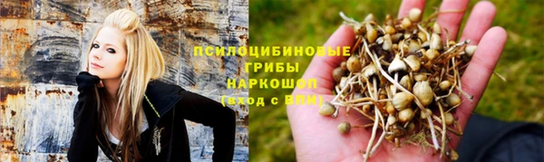 мескалин Баксан