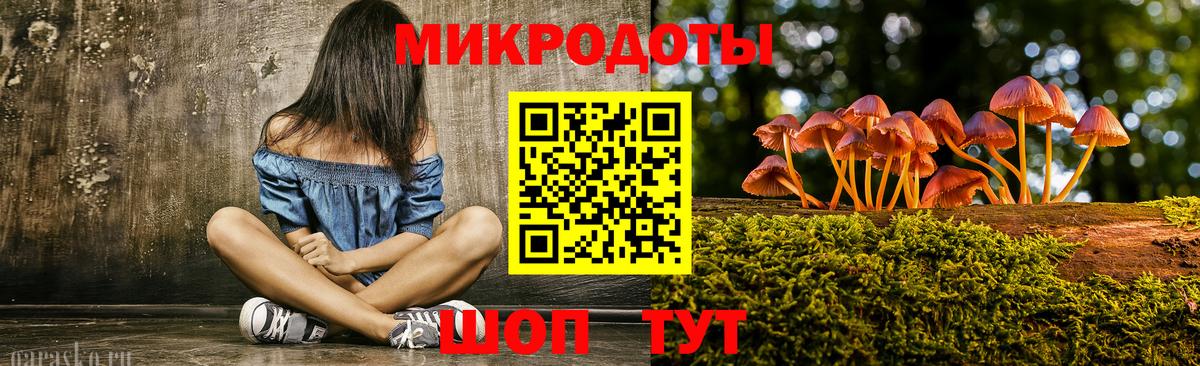 Галлюциногенные грибы Cubensis  Вход с VPN  Губаха  Галлюциногенные грибы Cubensis 