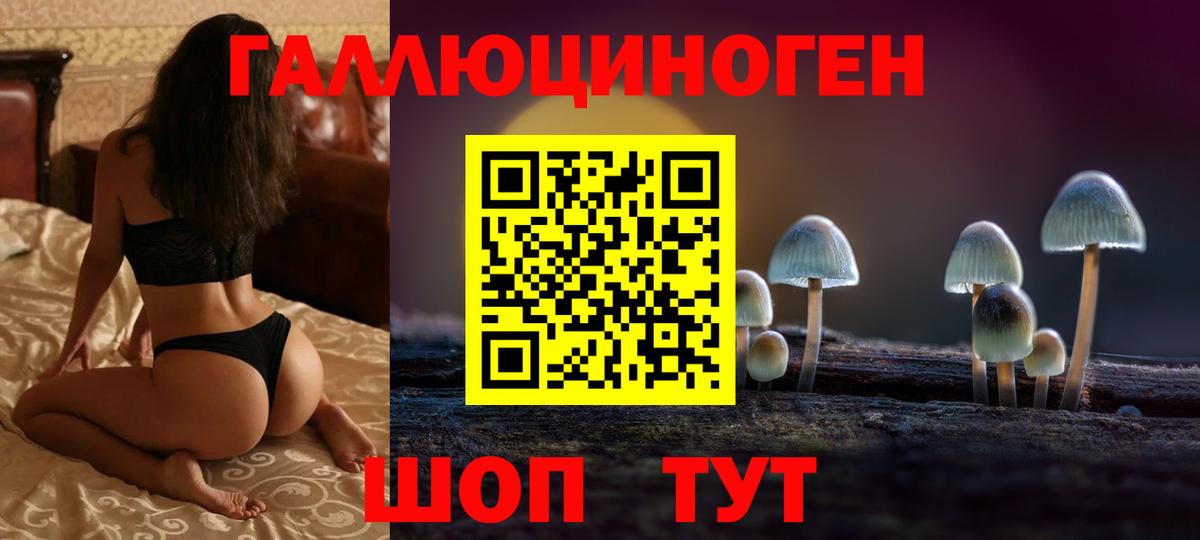 Псилоцибиновые грибы ЛСД Губаха